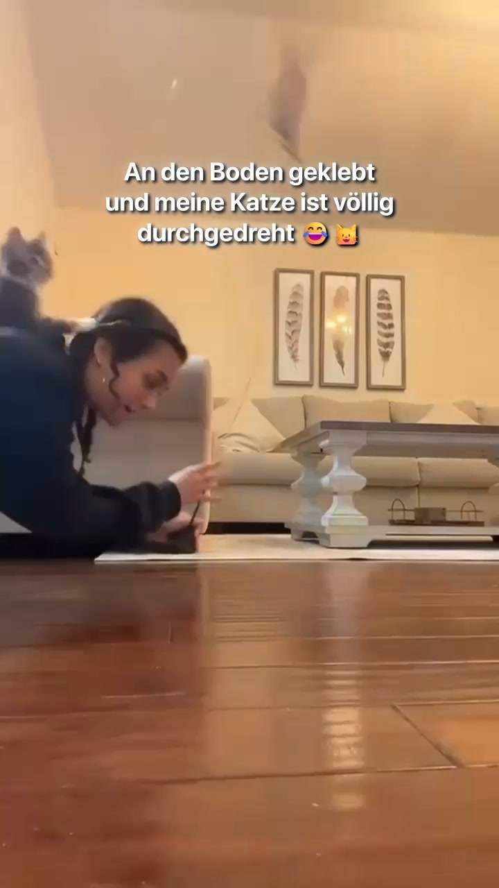 #1 Katzenangel