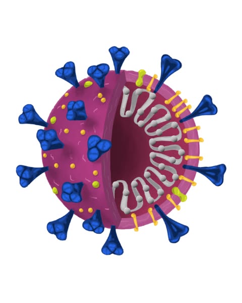 I Got Sick In 2020 And Never Fully Recovered. Doctors Called It 'Long-Haul.' Turns Out The Virus Left Something Behind And Nobody Was Screen