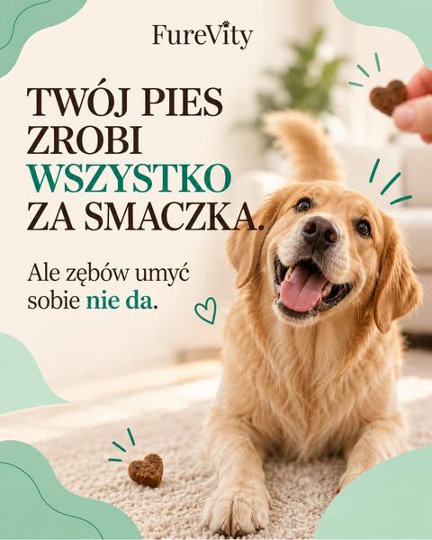 Zębów umyć sobie nie da