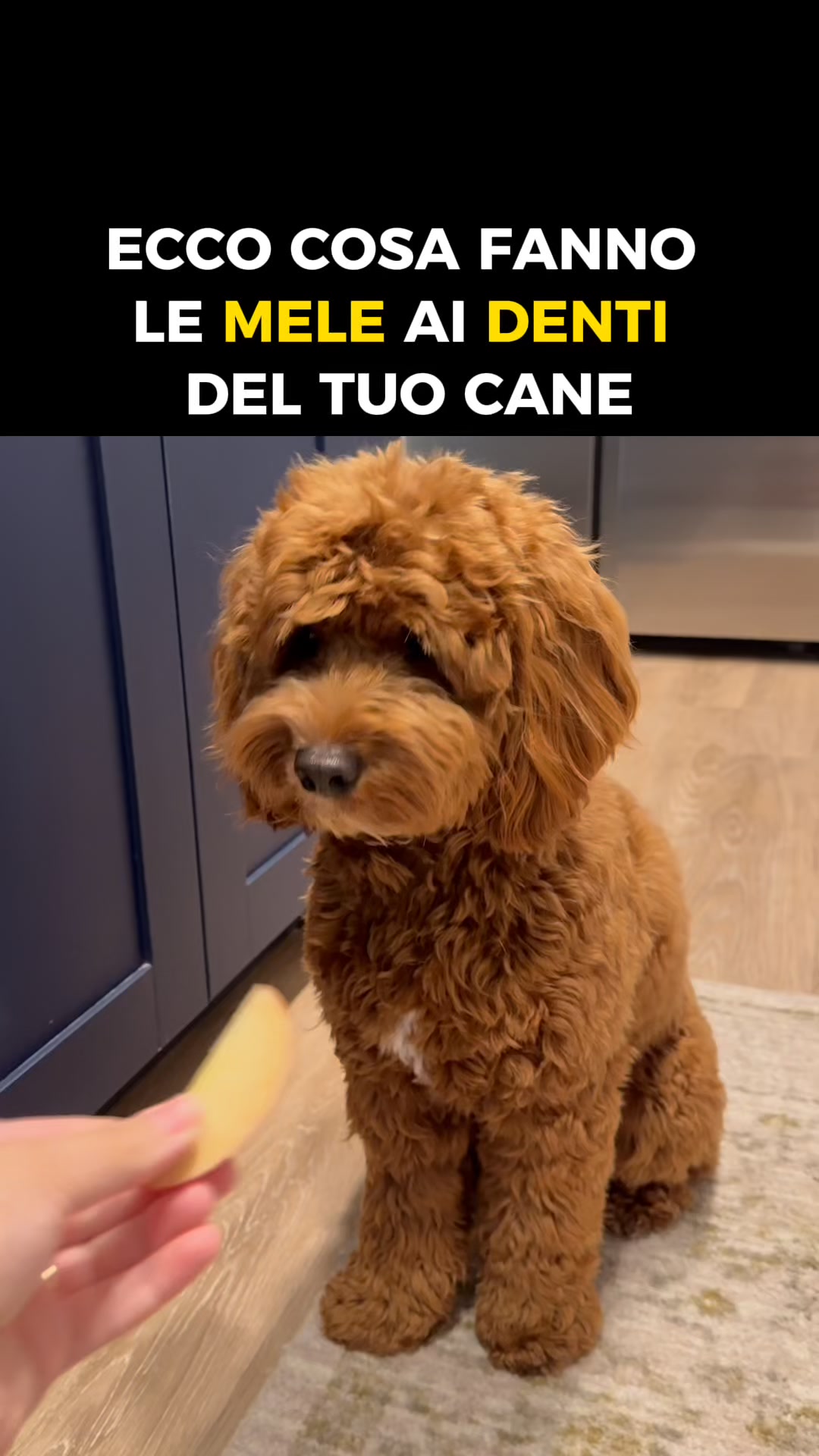 Finalmente — un metodo che funziona