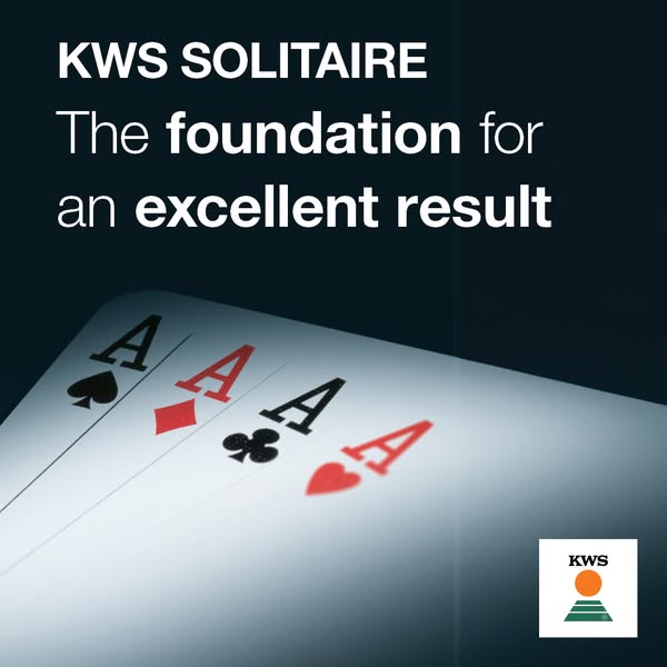 KWS Solitaire