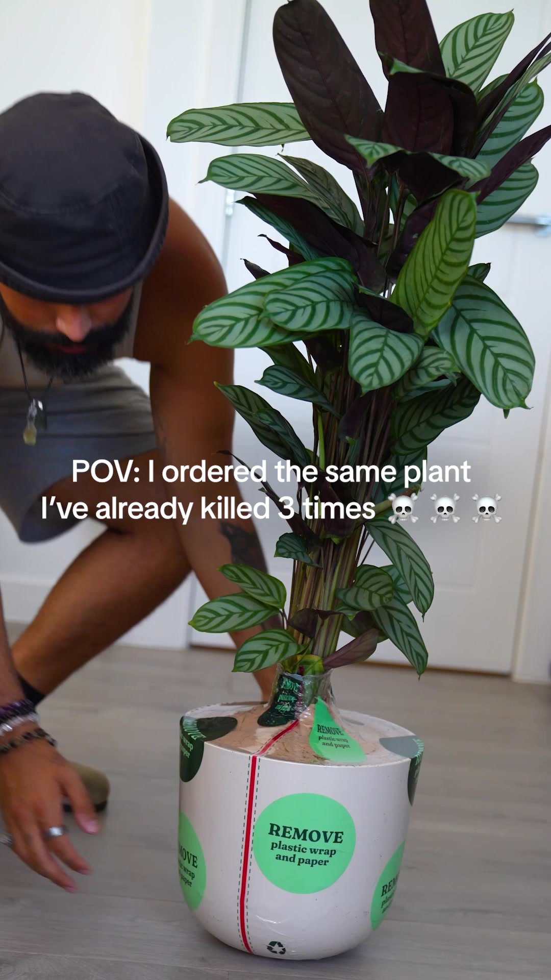 These are NO ordinary plants!