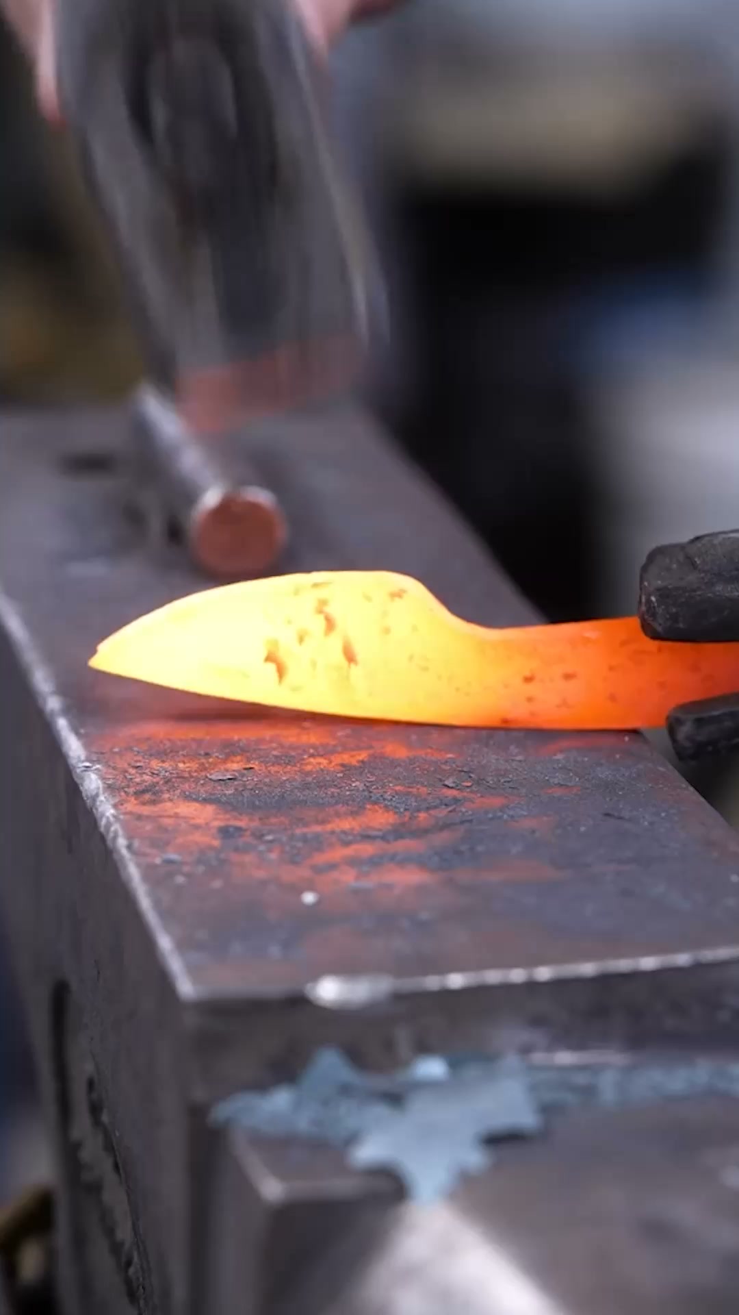 The Perfect Knife For 2026