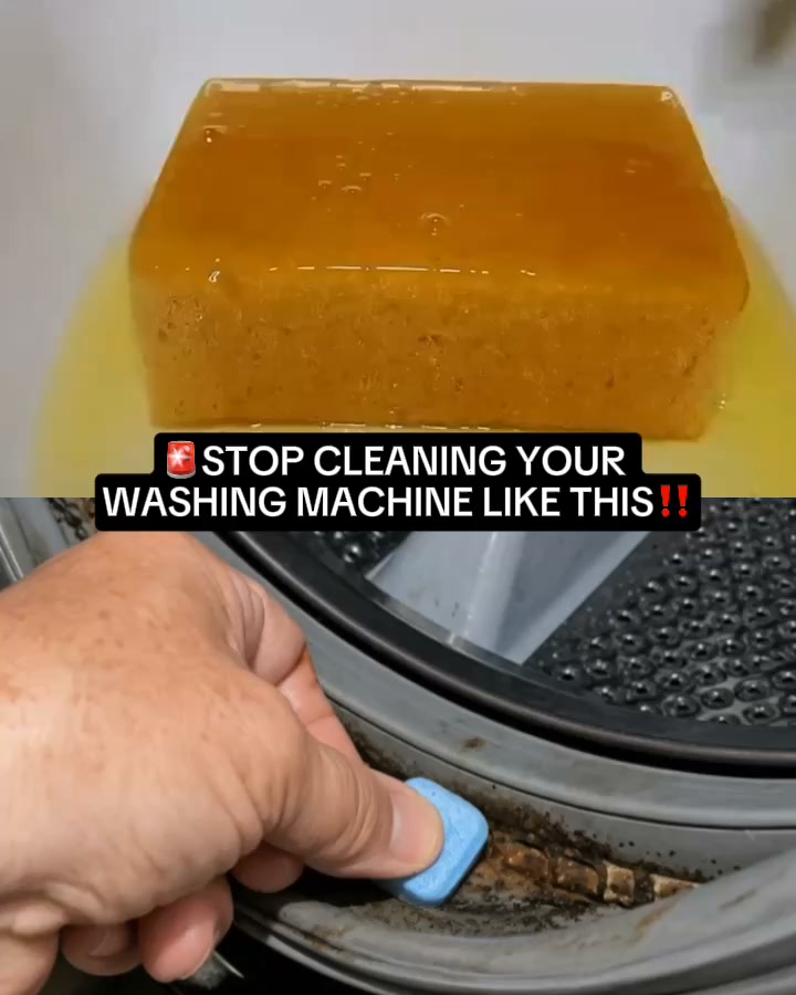 If your washing smells like a wet dog straight out of the machine... this germ is why