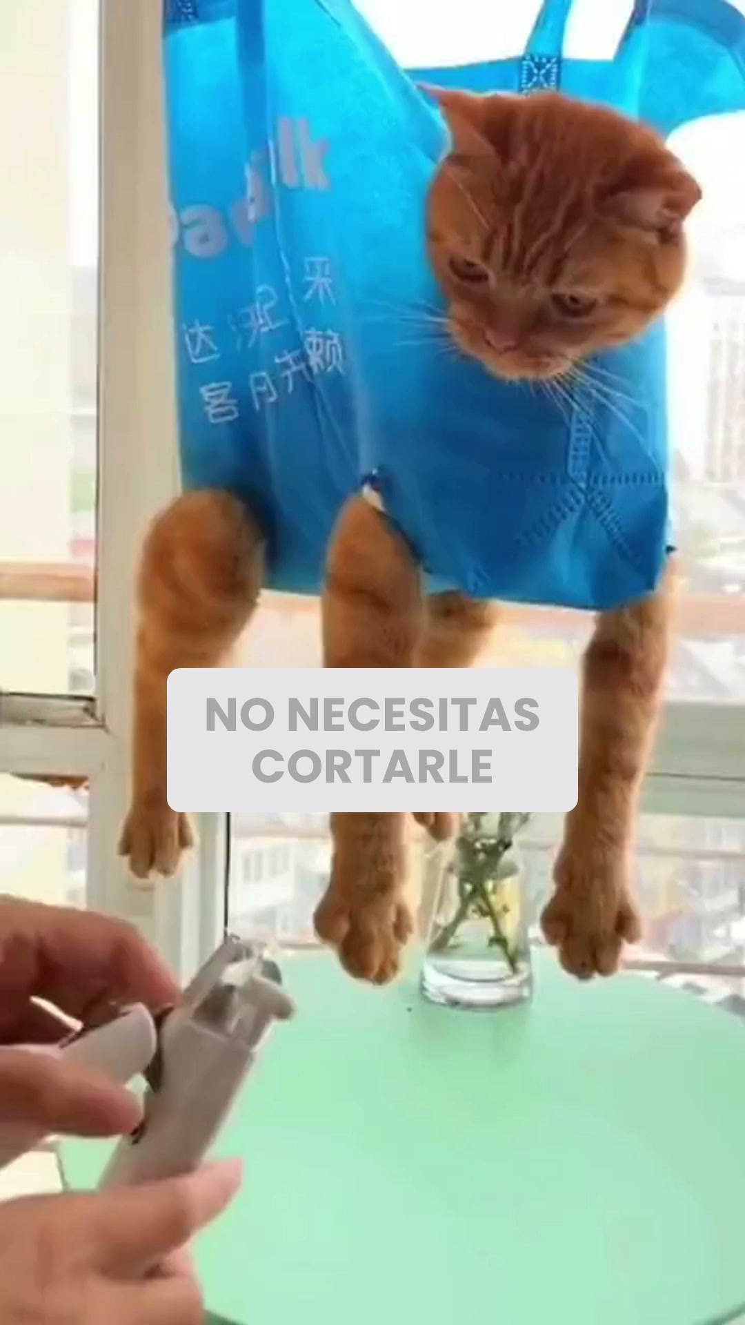 Lo que sus uñas llevaban tiempo buscando
