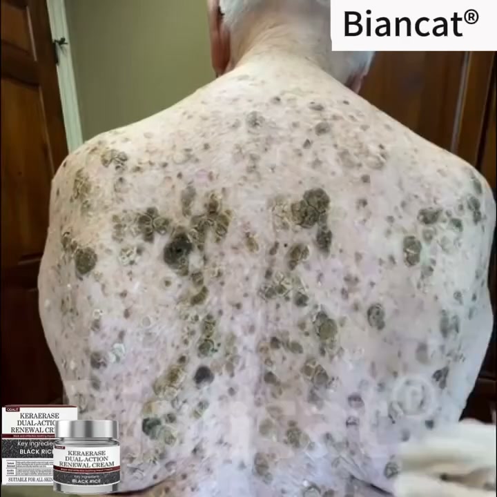 Anúncio de Holisticverve