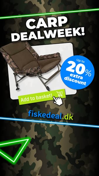 Carp promotion week — up to 20% off!