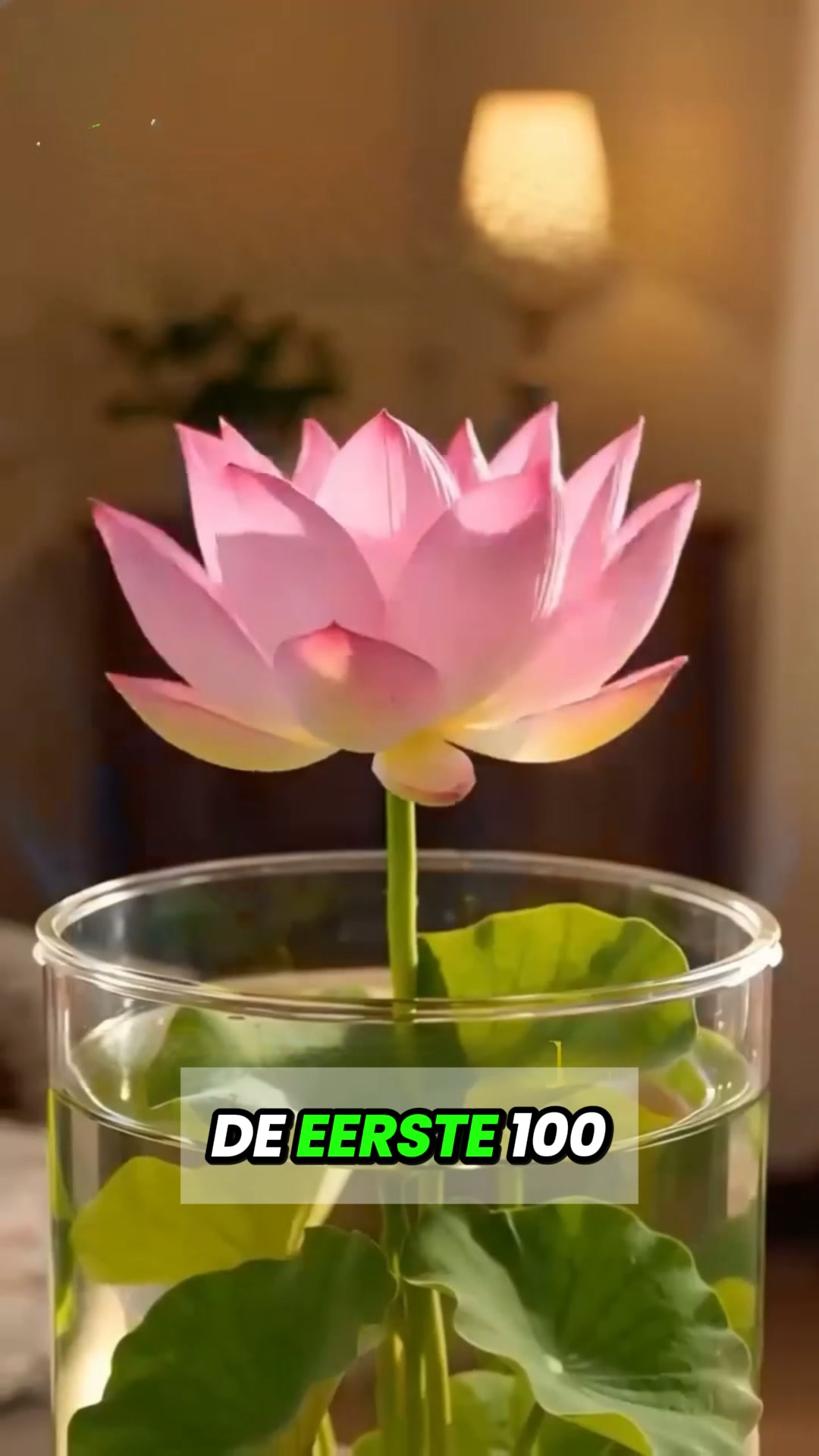 Lege en saaie ruimtes? Maak er een sfeervolle blikvanger van!