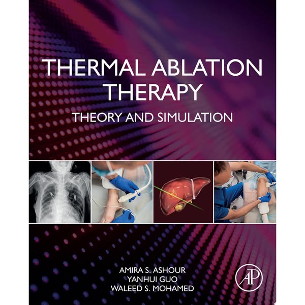 Thermal Ablation Therapy: Theory and Simulation