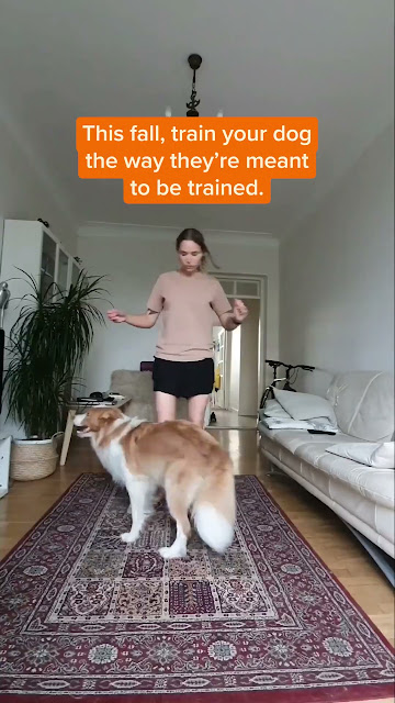 Get the revolutionary dog training book!