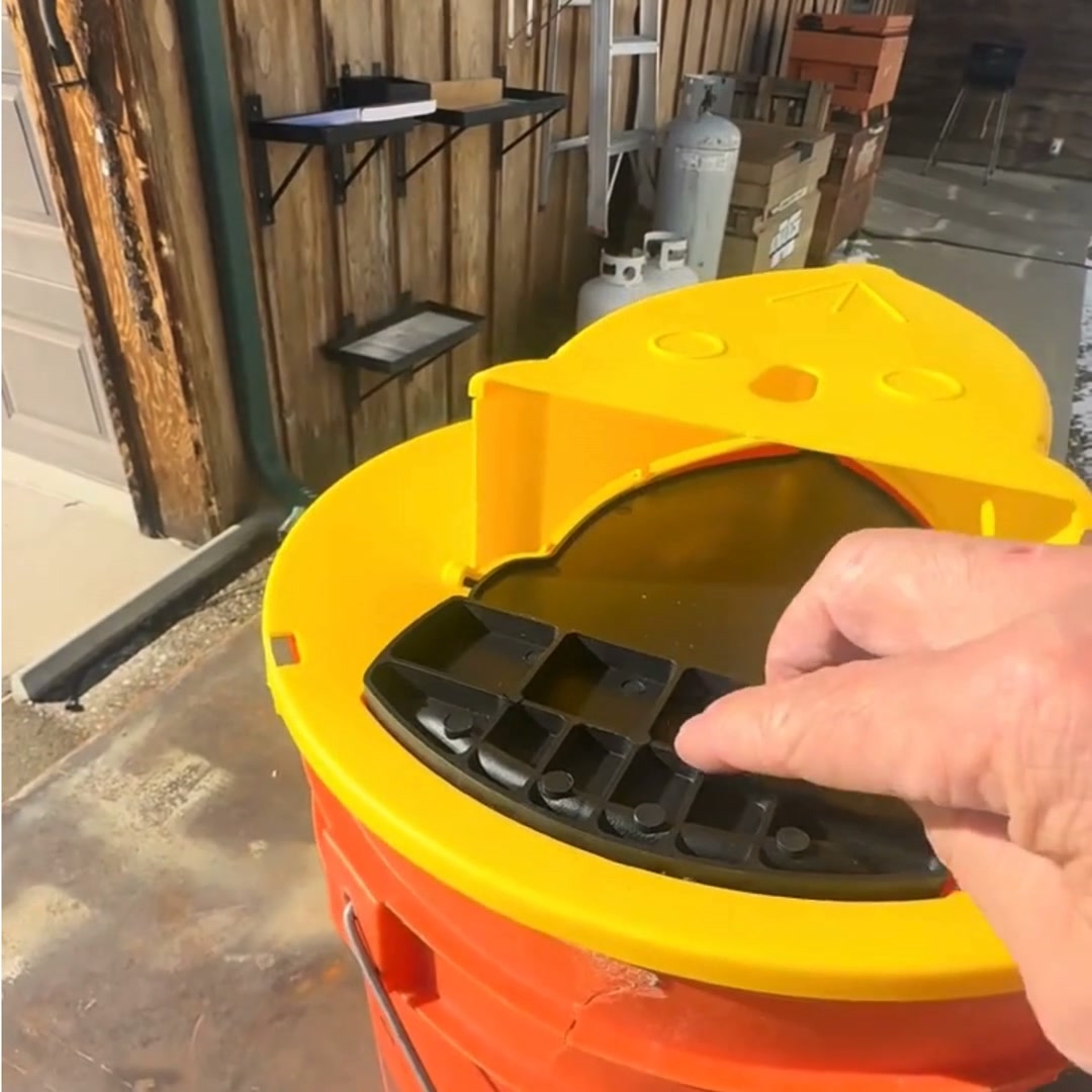 The Humane Way to End Your Rodent Problem