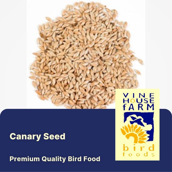 Canary Seed
