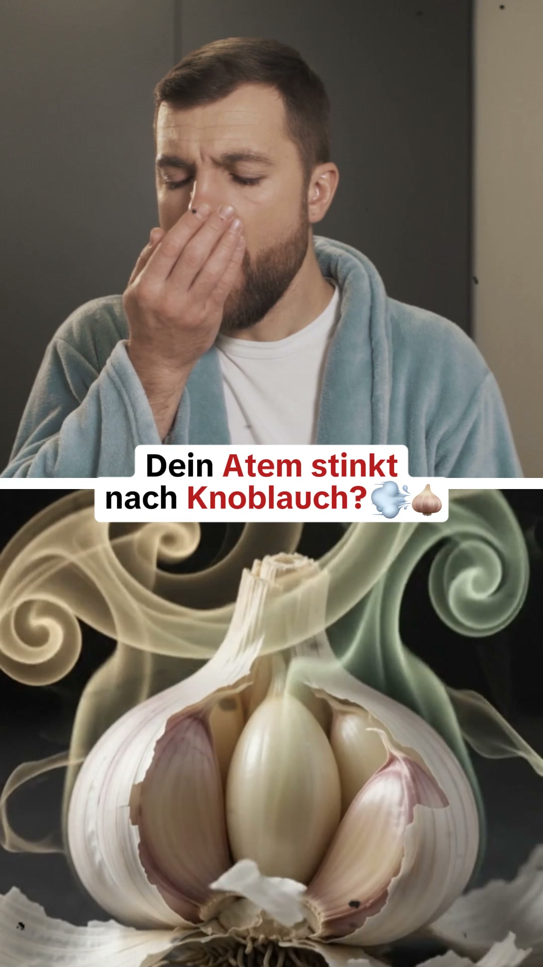 HEUTE: Kostenloser Versand