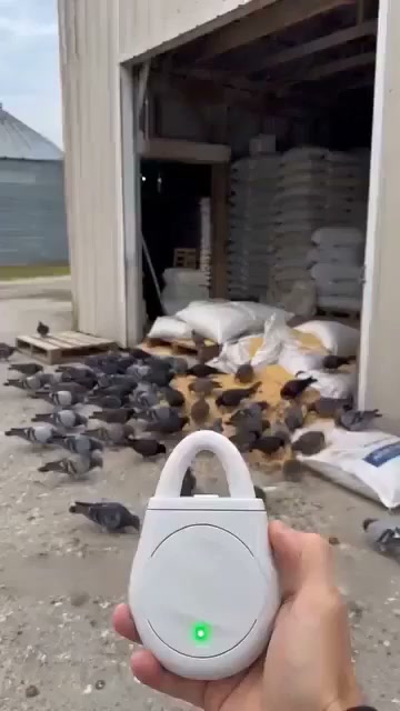 WOW! 50% RABATT