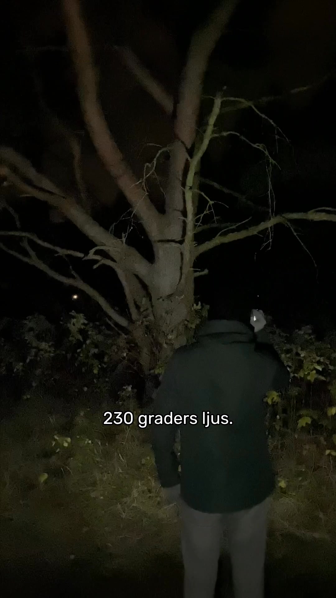 #1 rankad pannlampa 3 år i rad!
