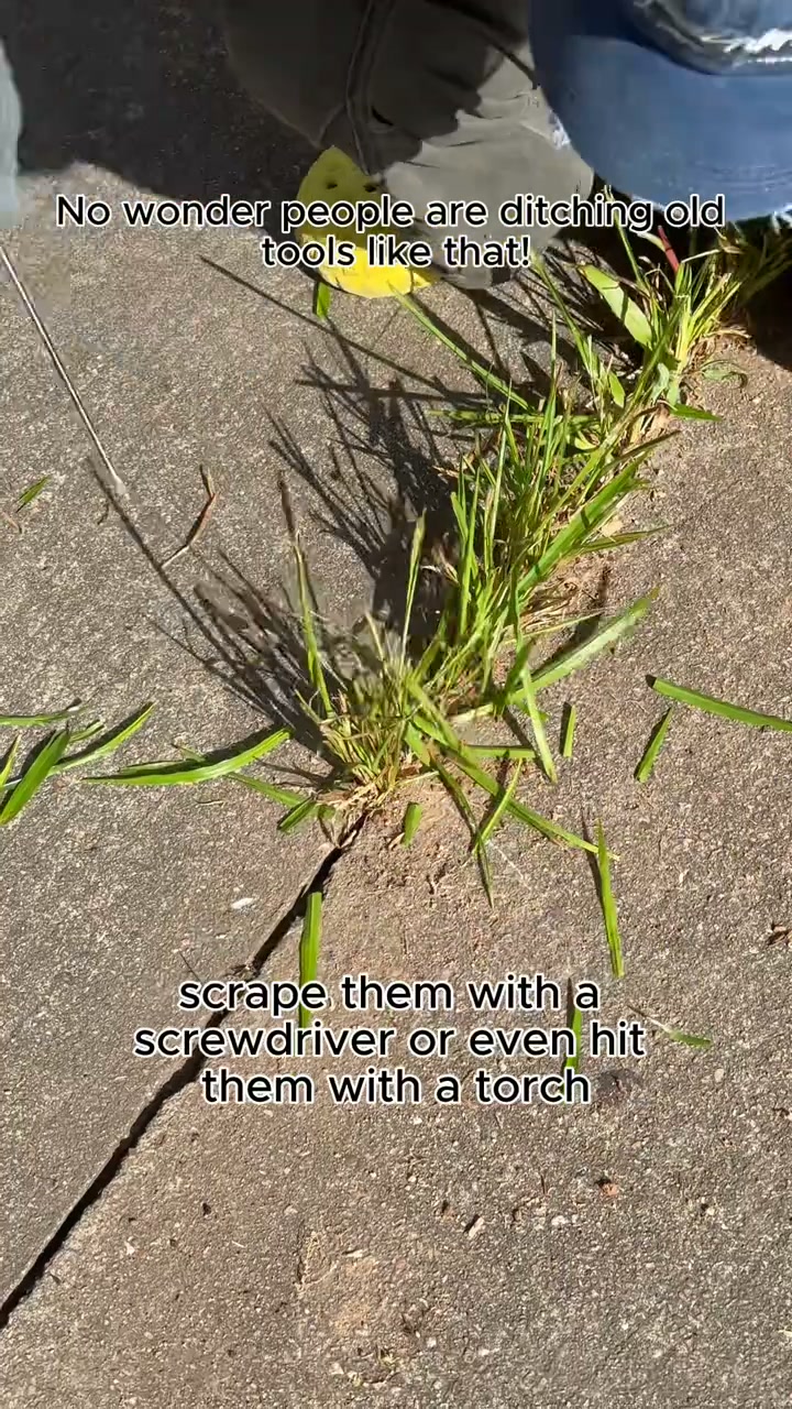 Kill Weeds for Good with 1 Tool