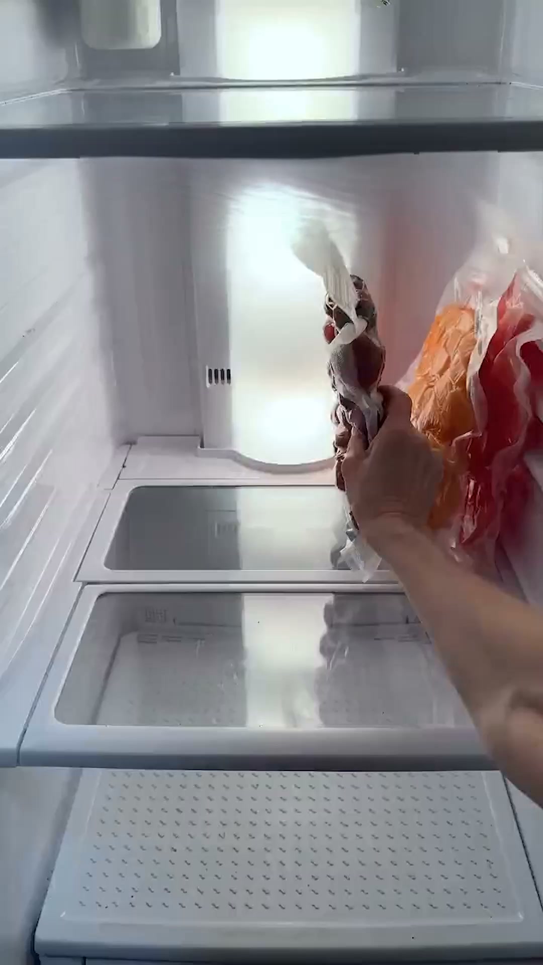 Mantén tus alimentos frescos hasta 5 veces más tiempo