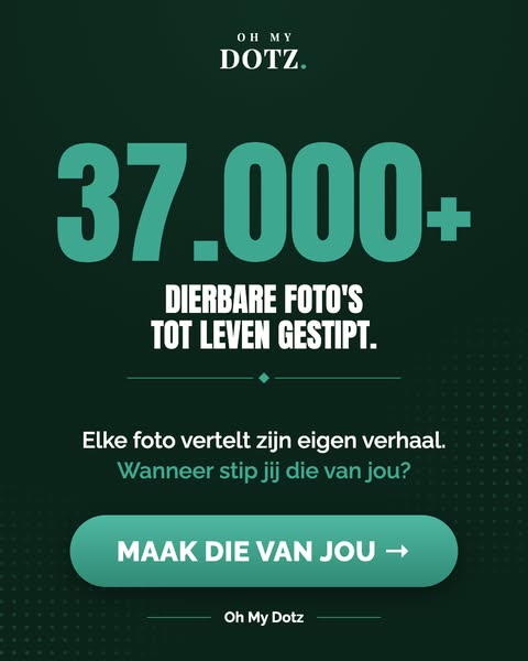 Samen stippen, zonder schermen