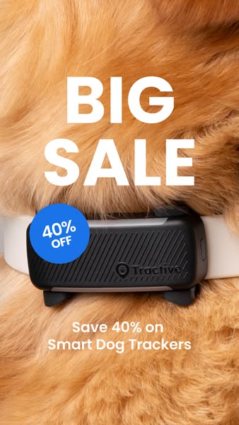 Top summer deal: 40% off dog trackers