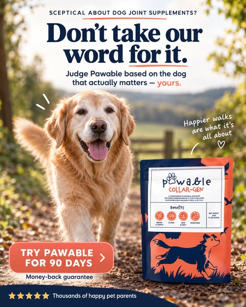 YOUR DOG. YOUR VERDICT.