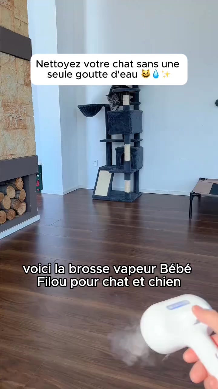 La brosse qui transforme le brossage en moment câlin
