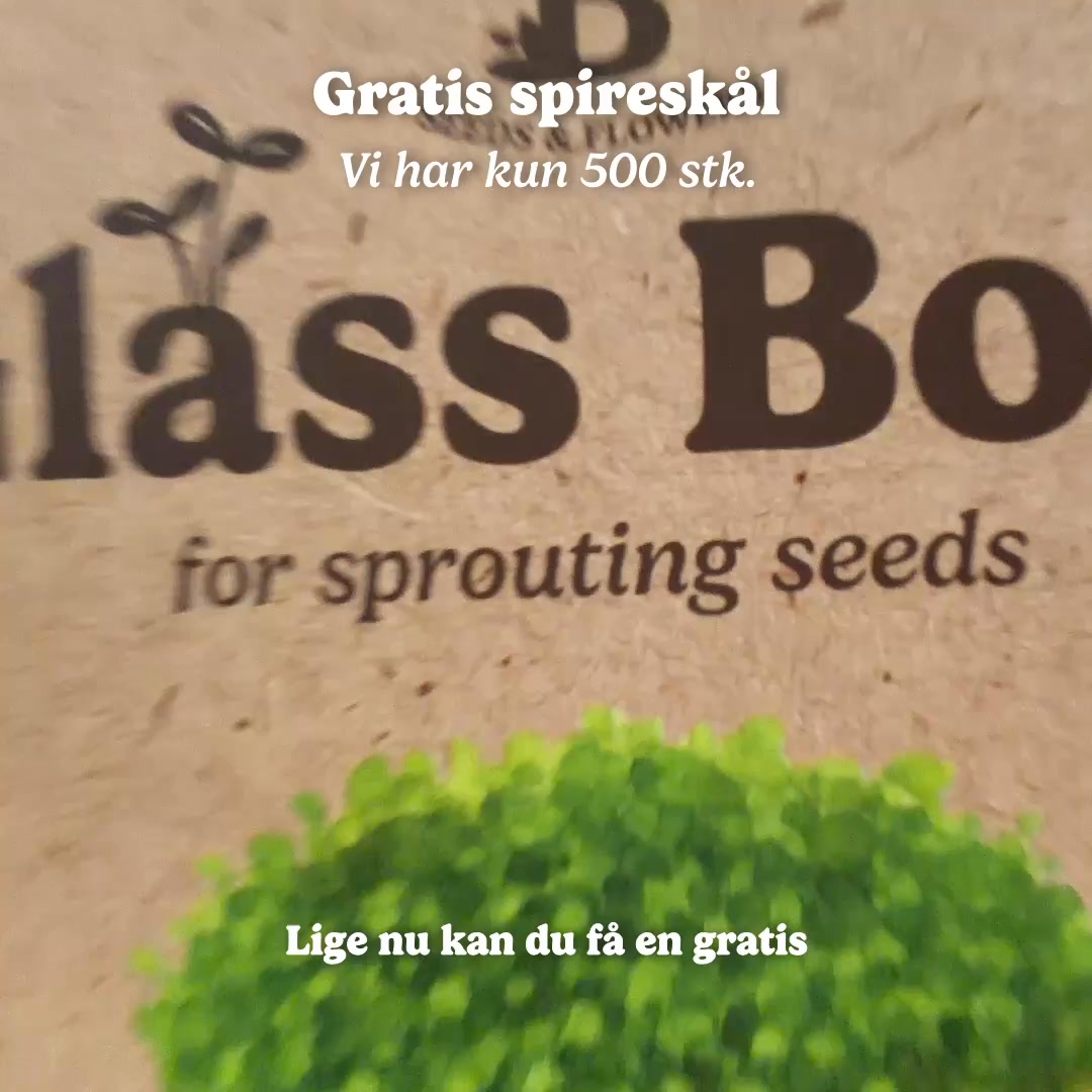 SIDSTE CHANCE: GRATIS SPIRESKÅL