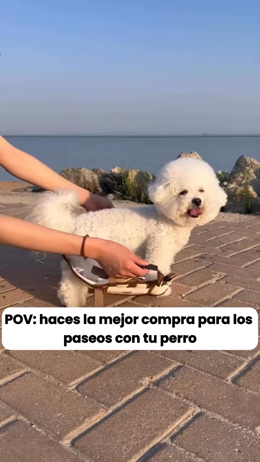 Pago Contra Reembolso