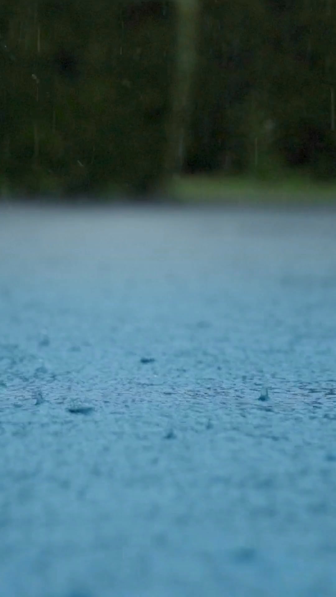 Most Jacket's Can't Handle "Wet Cold". This Was Built for It.