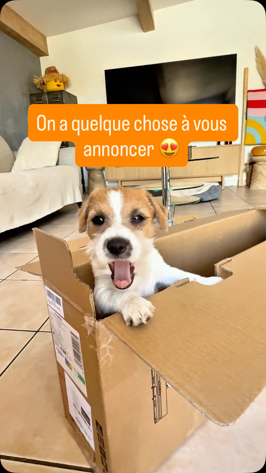 Anúncio de Tineco France