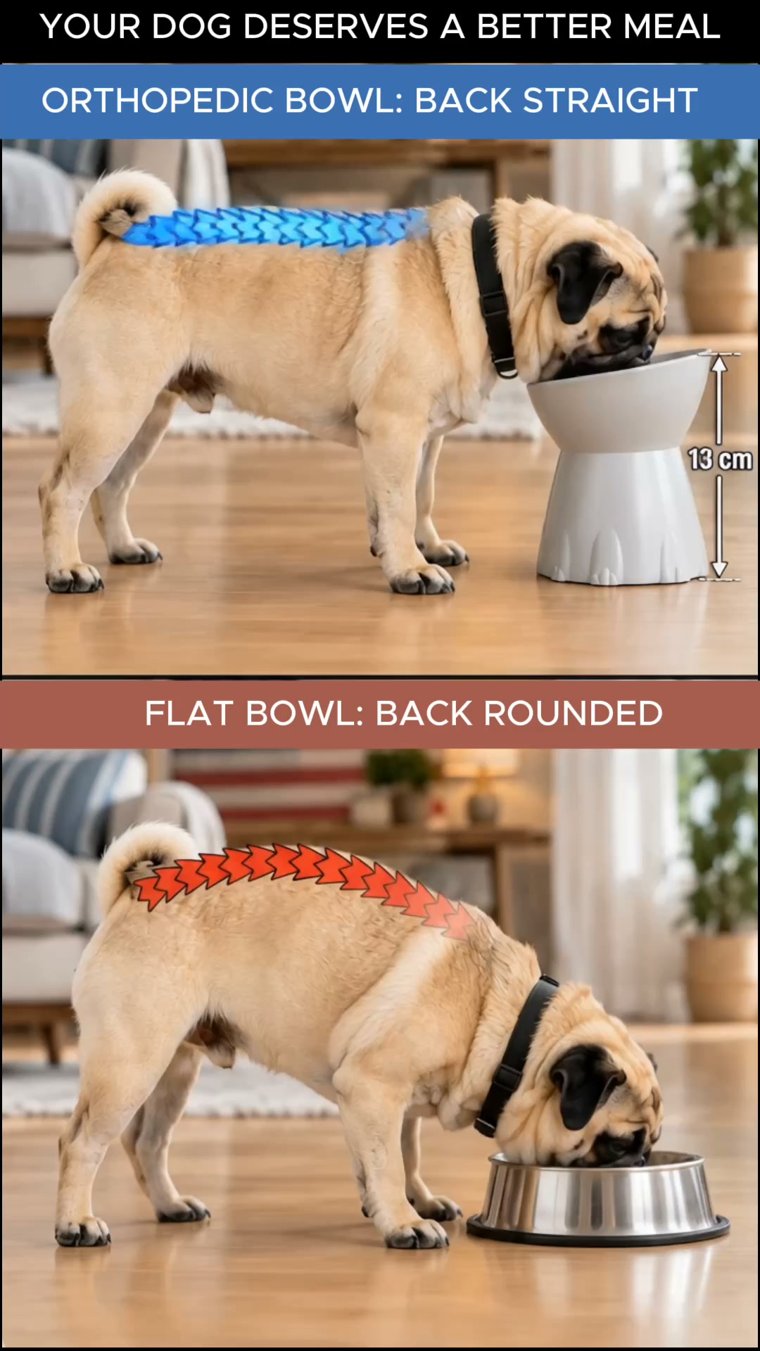 Orthopedic Bowl