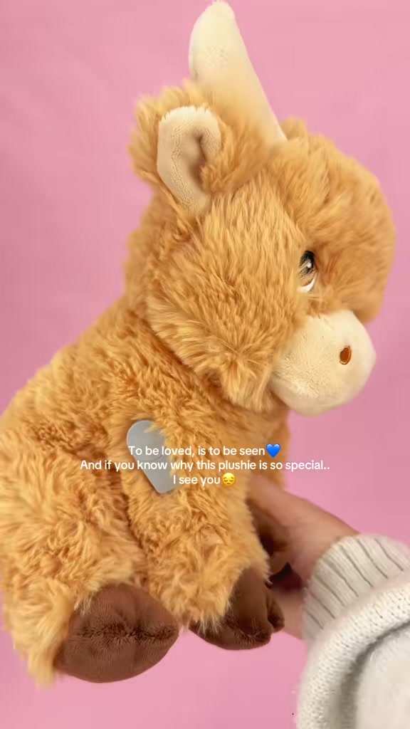 Cuddly T1D Toys with CGMs