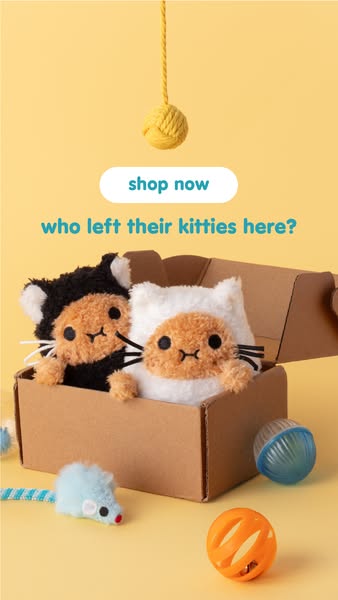 Discover The World Of Noodoll