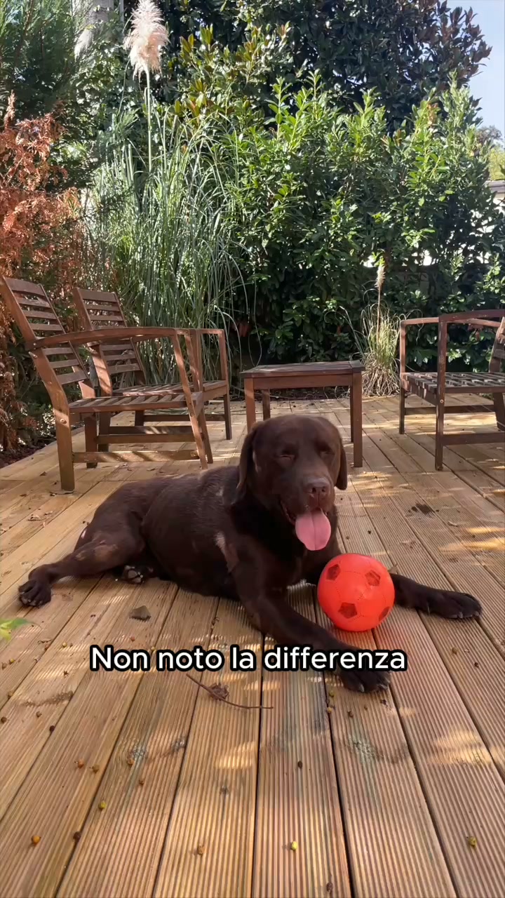 "Con questo è tornato a correre come prima"