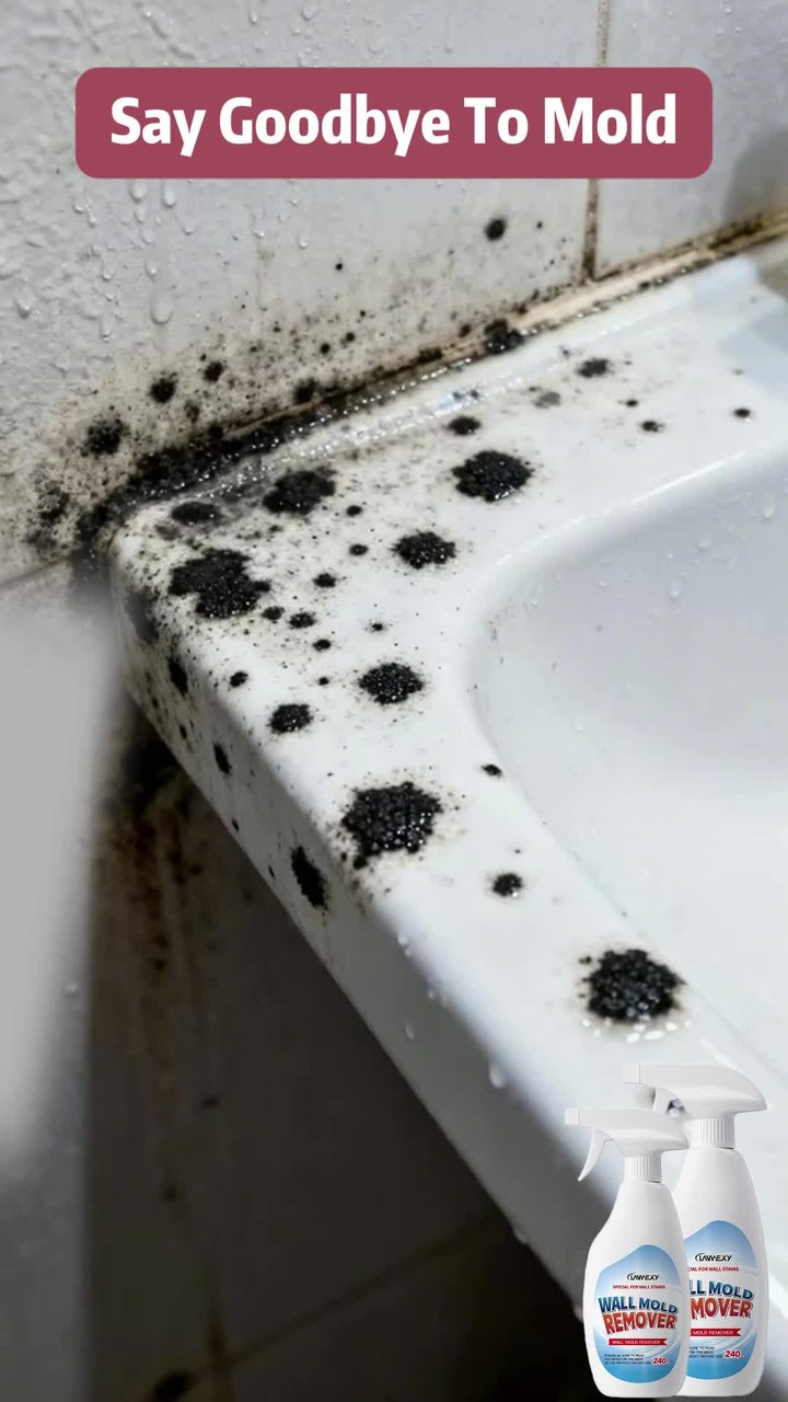 Mold Remover Spray for Walls