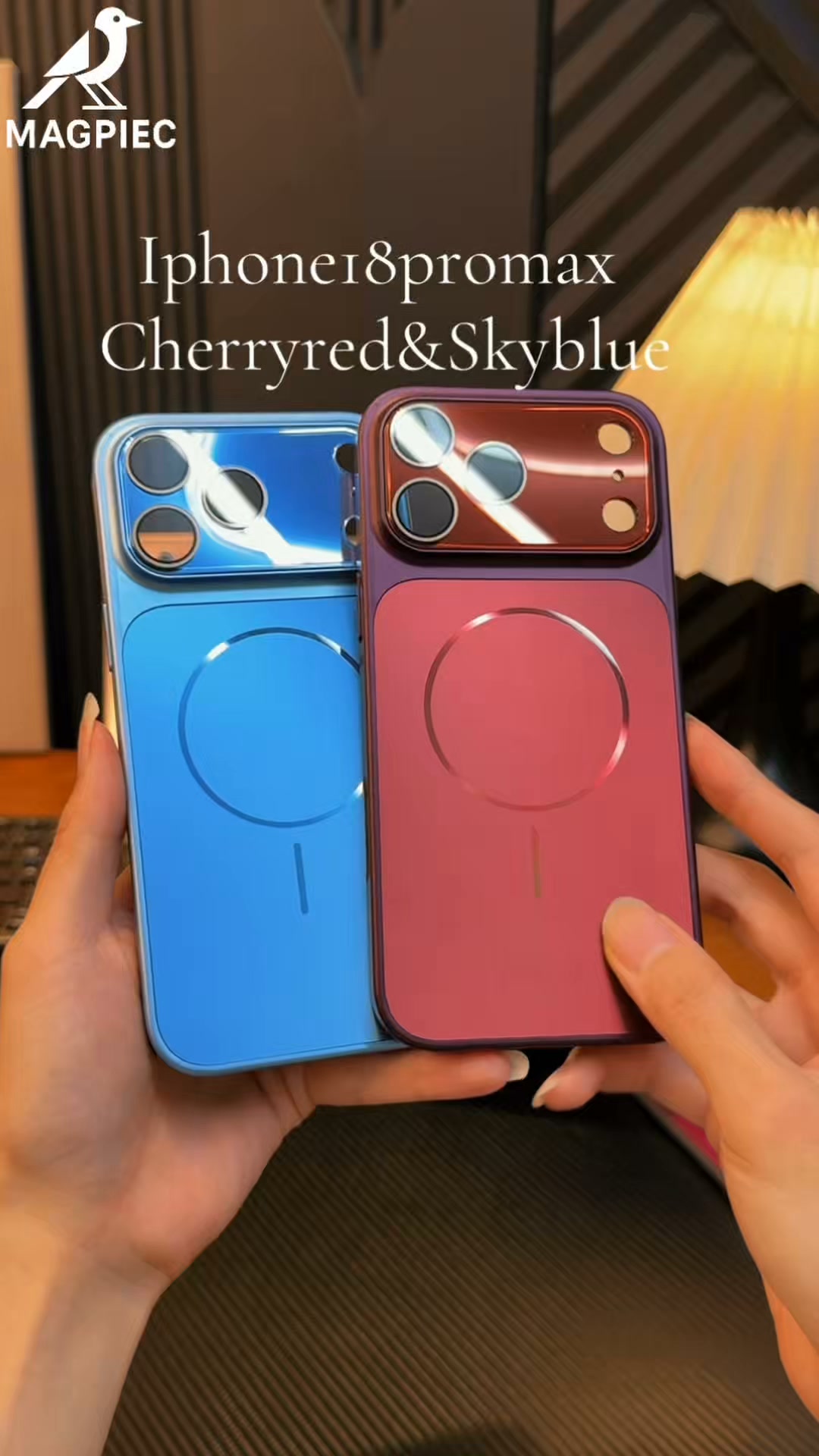iPhone MagSafe Glass Matte Case