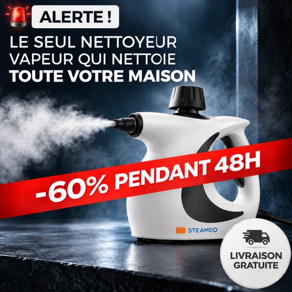 60 % PENDANT 48H + LIVRAISON GRATUITE