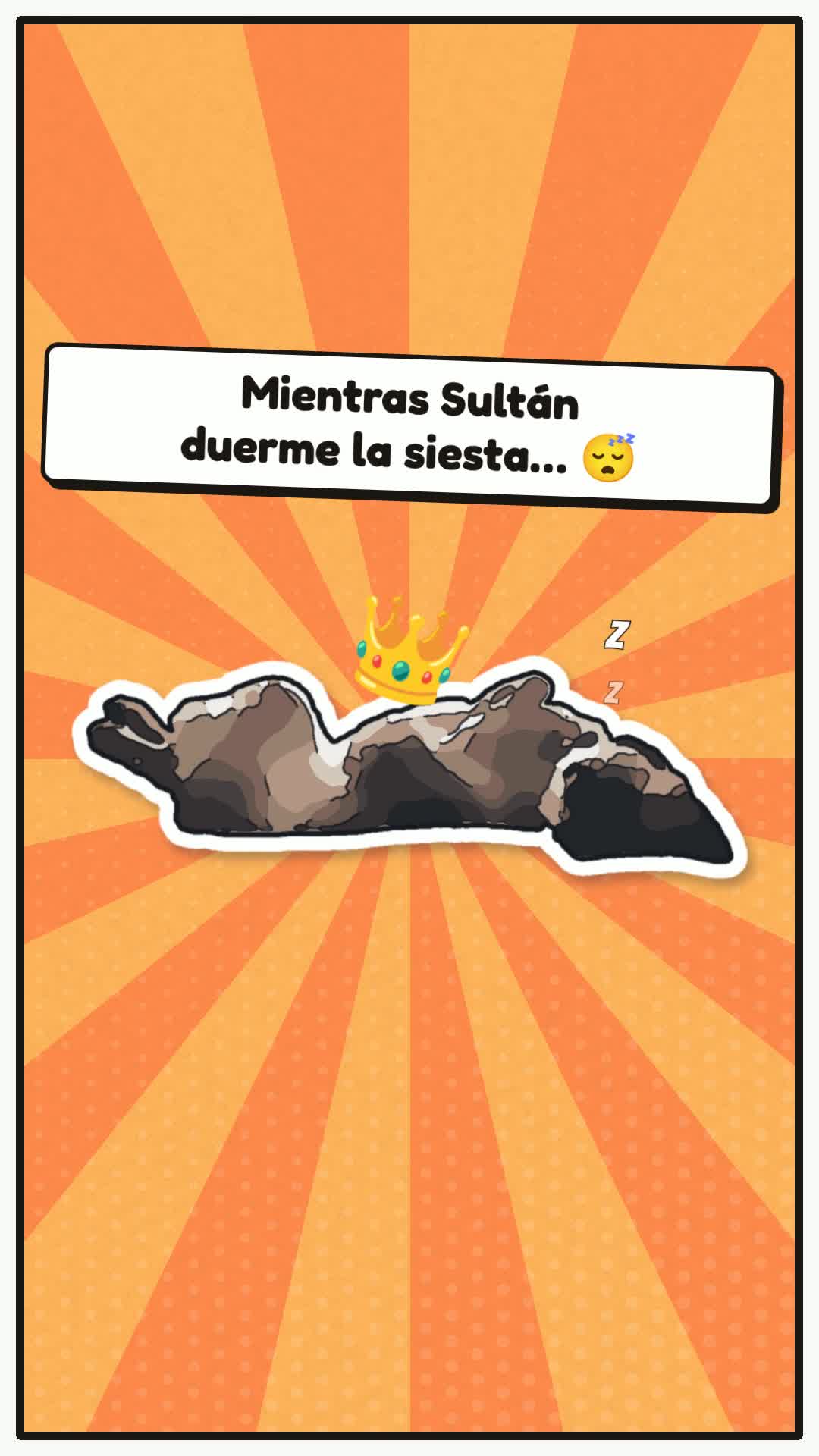 ¿Tu perro también se rasca sin parar?