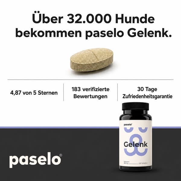 Bis zu 38% sparen!