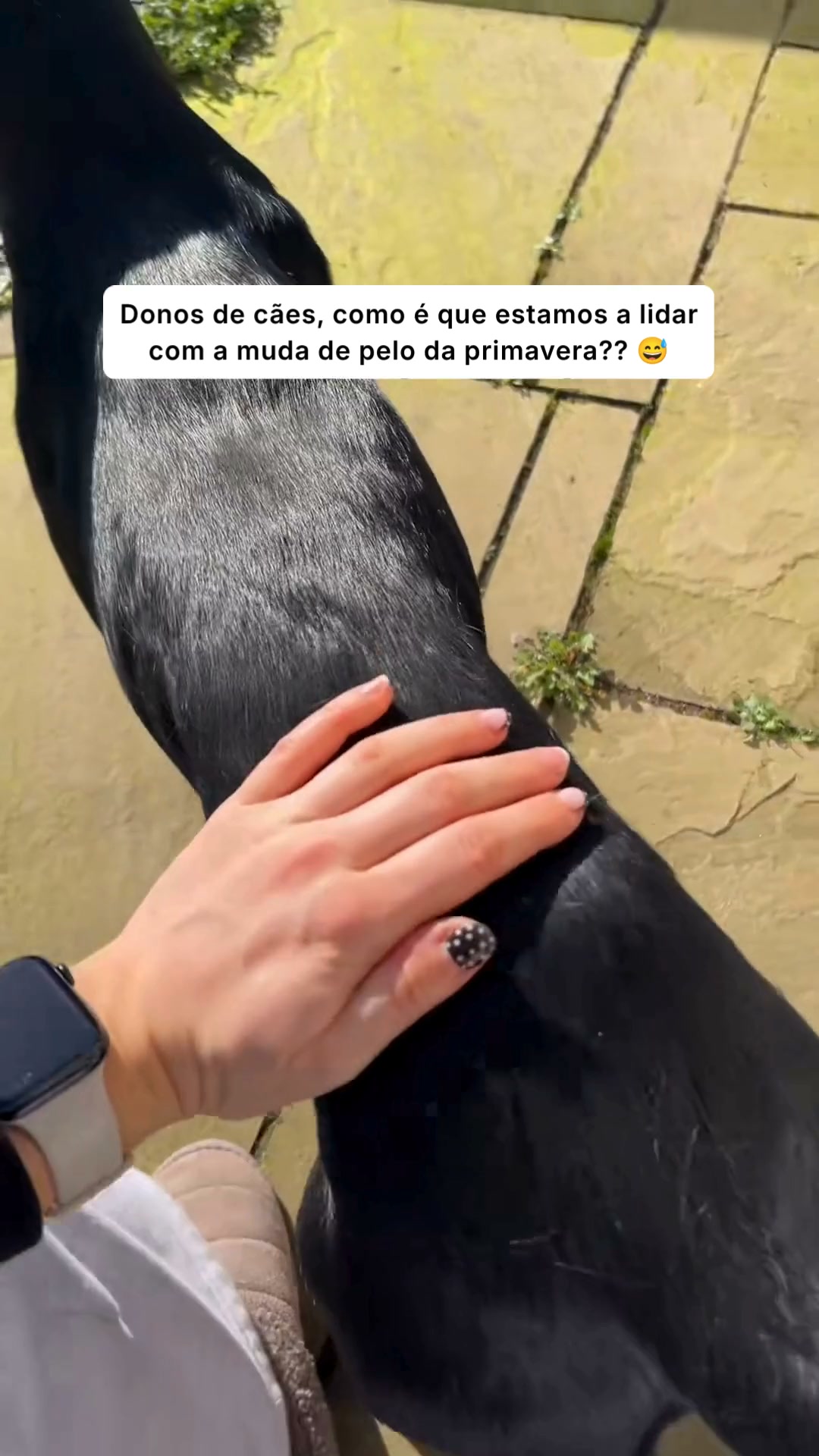 Remove pelos. Paga quando chega.