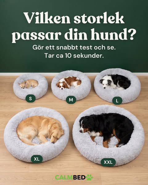 Rätt storlek på 10 sekunder