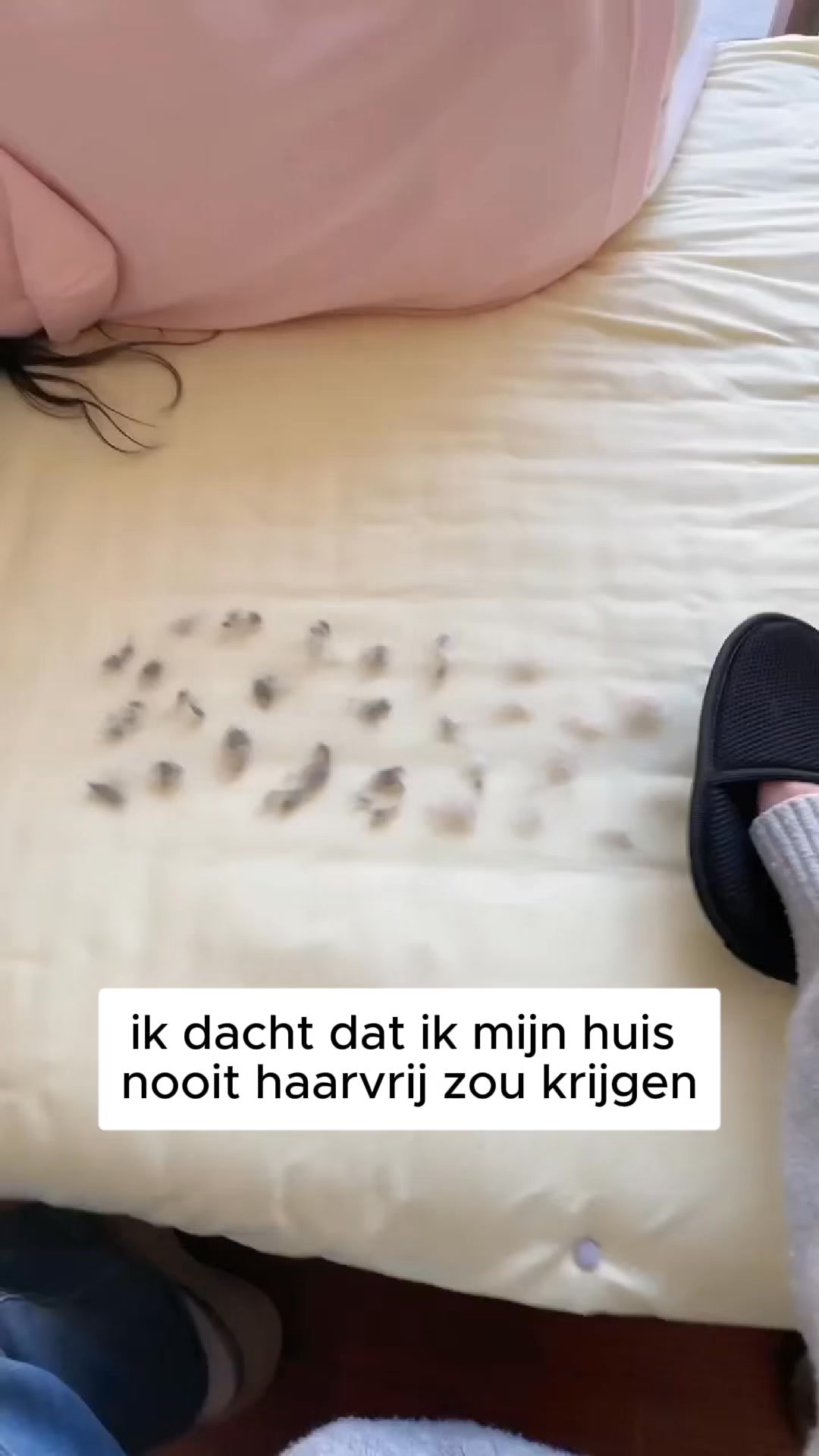 UITVERKOOP + GRATIS verzending!