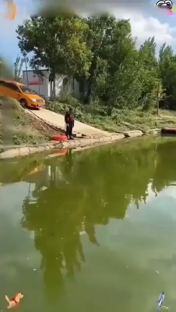 Scared of jammed car doors?