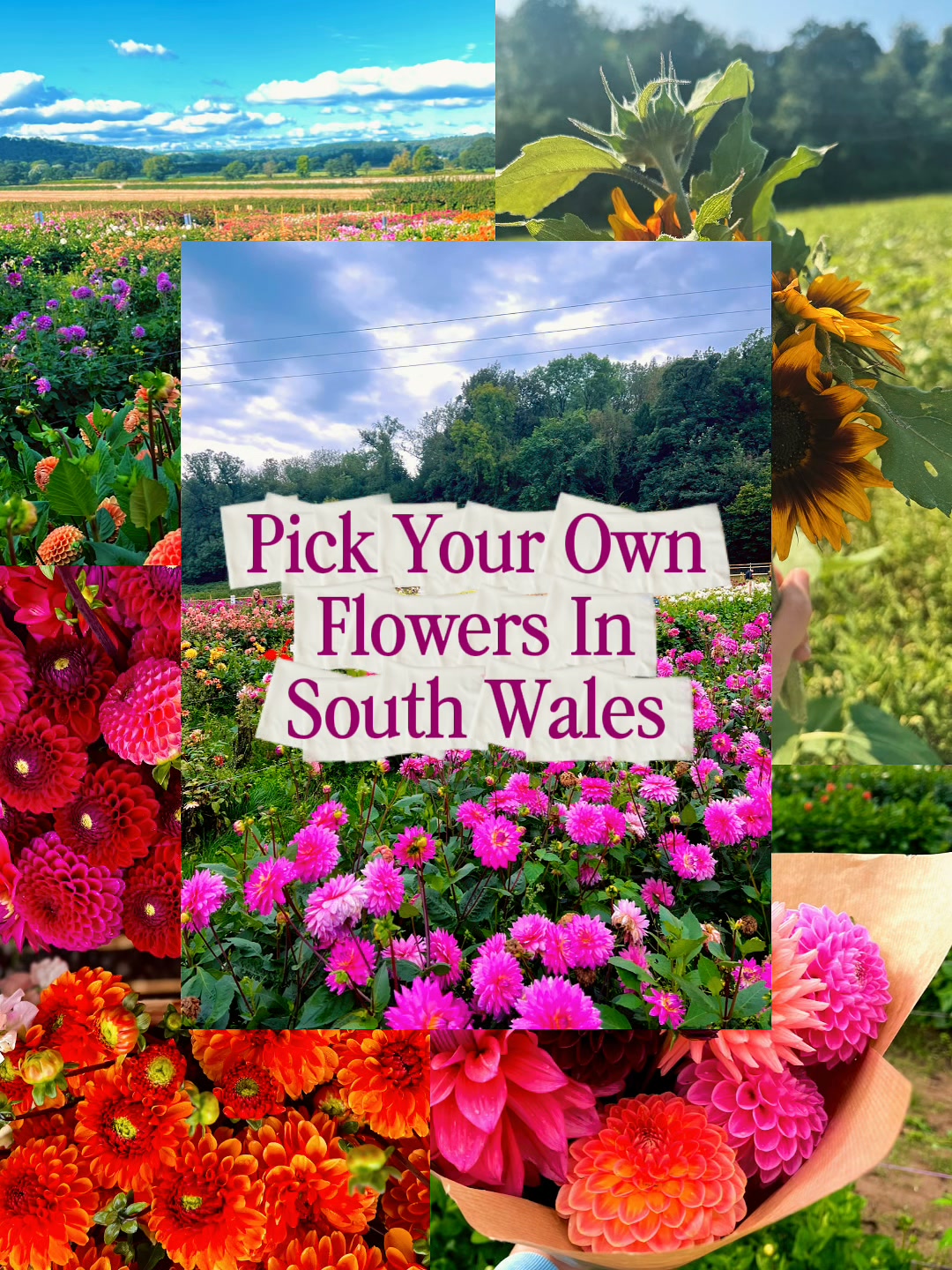 Pick Your Own Summer Bouquet