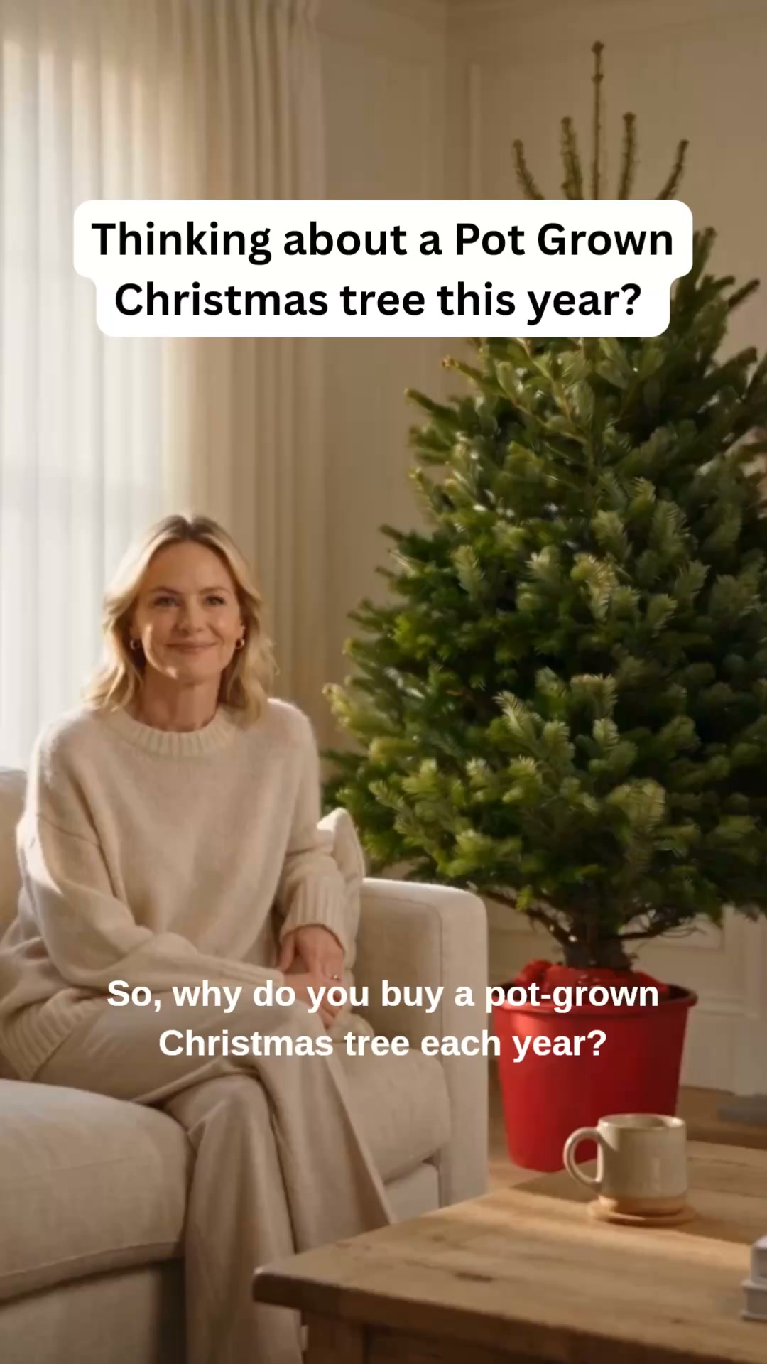 Real, Pot Grown Christmas Trees