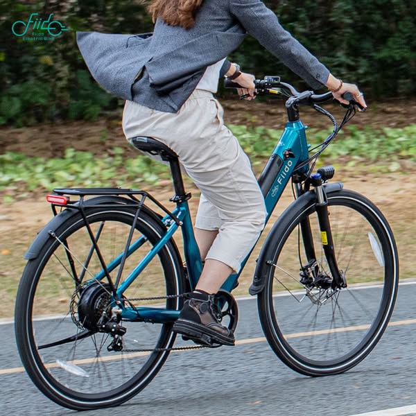 Fiido C11 Elektrofahrrad