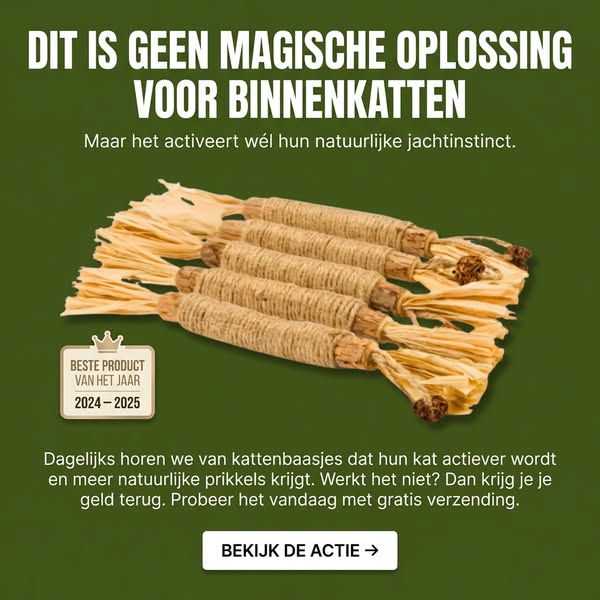 Je kat is niet gewoon rustig. Ze mist iets.
