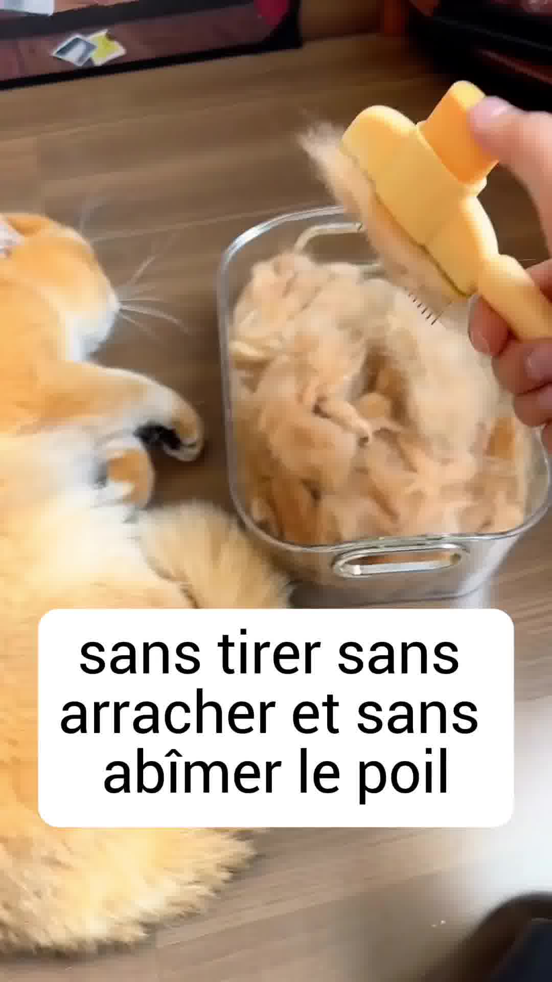 30 jours d'essai sans risque