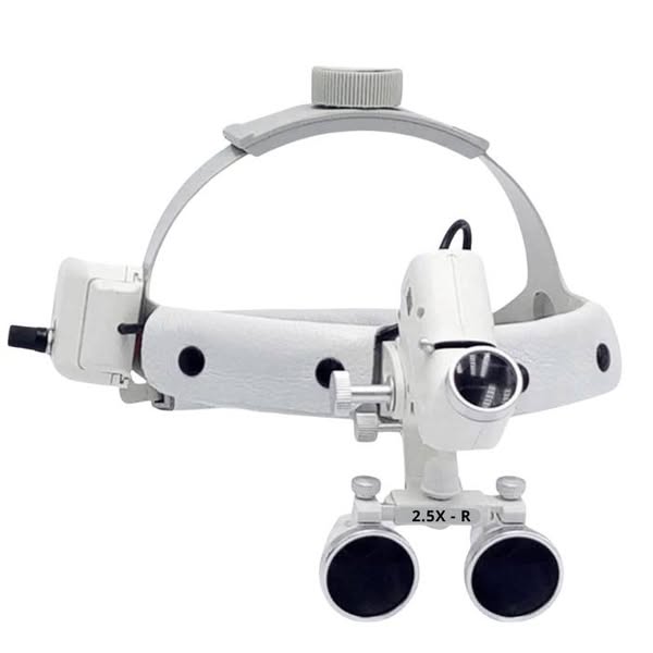 Lupa T4 — Light and Detail