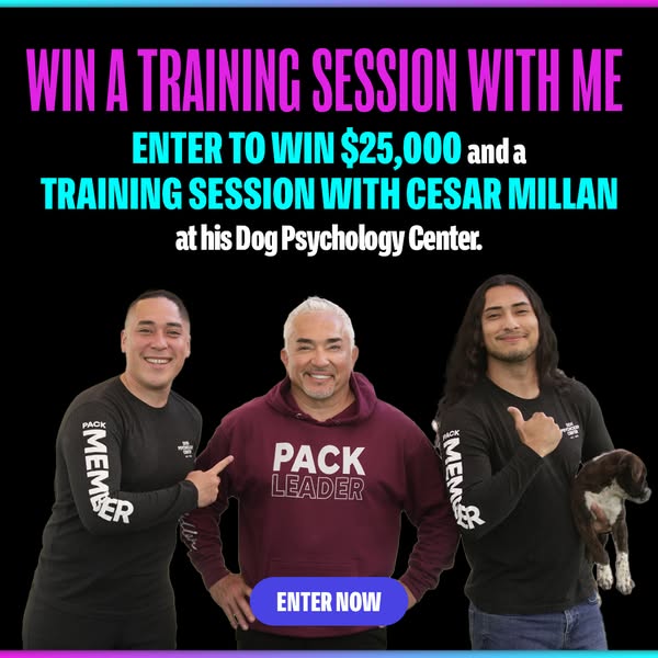 Win $25,000 and a Private Training Session with Me
