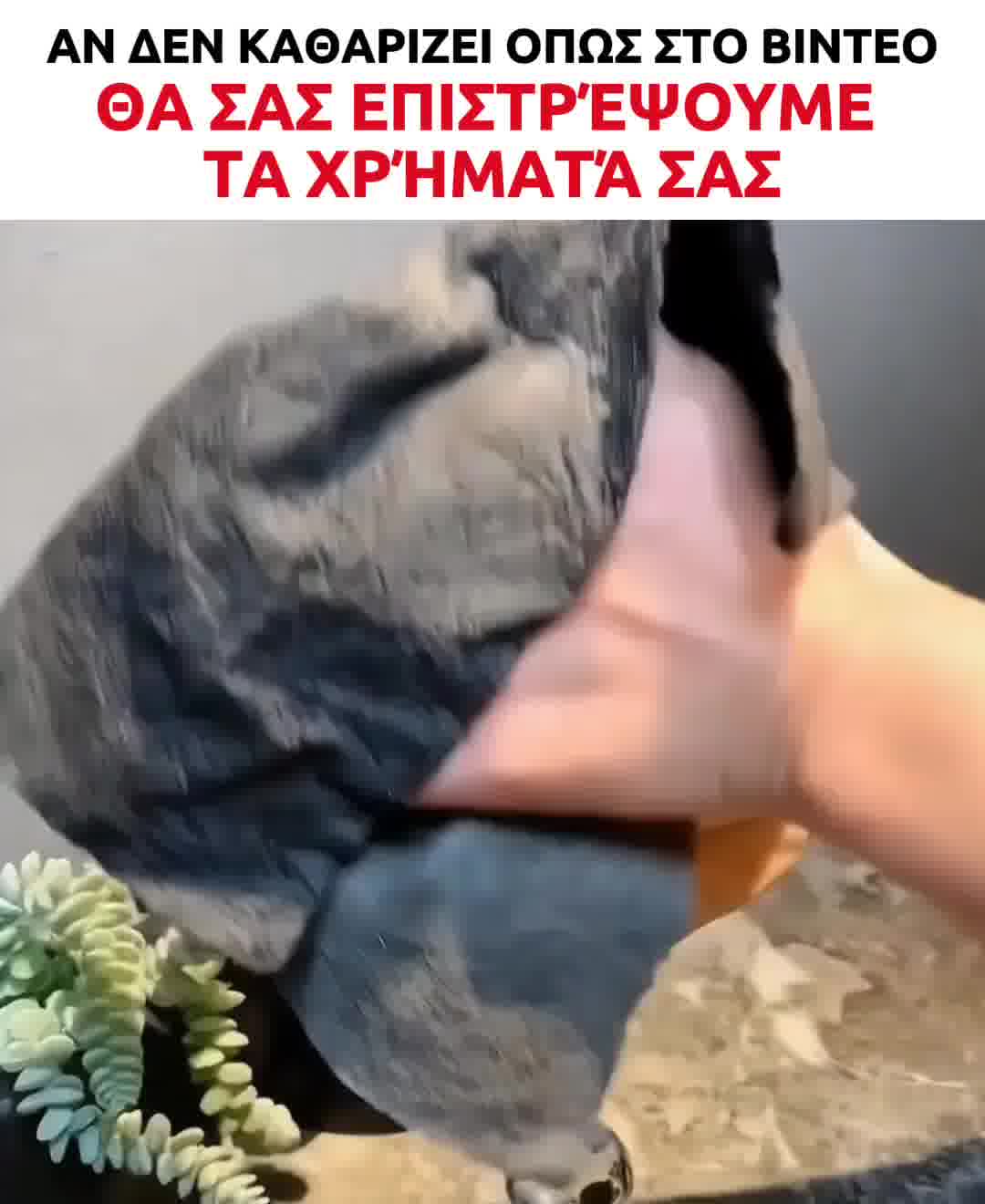 Μαγικό Πανί Μικροϊνών (σετ 5 τεμαχίων)